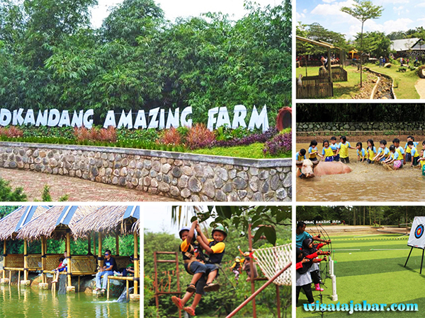 Dkandang Amazing Farm Depok