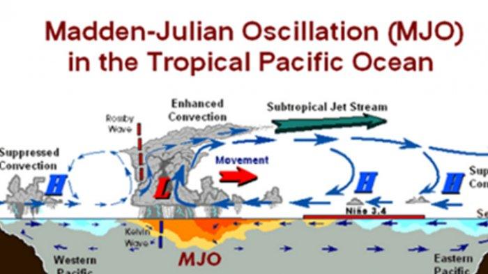 Madden Jullian Oscillation 비구름 현상