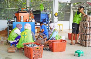 새마을재단 인도네시아 사업 소개