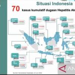 원인불명 급성 간염 환자가 누적 70명
