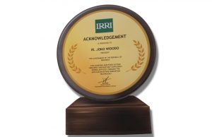 ‘세계적 쌀소비국’ 인도네시아, 올해 생산량 50%↑…자급자족에 수출도