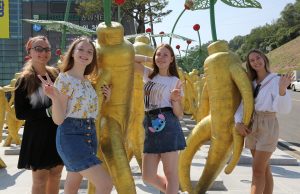 세계인의 축제로 발돋움한 금산인삼축제 9월30일부터 11일간