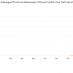 발리, 올 6월 외국인 관광객 57% 급증