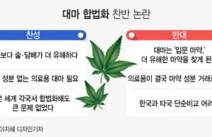 인도네시아, 의료용 대마 합법화 하나?