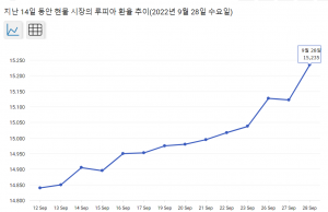 강달러에 놀란 인니, 대통령까지 외환시장 달래기 나서
