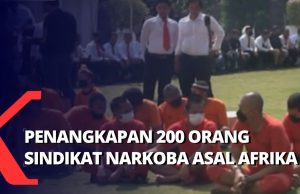 국가 마약국, 85개 마약 조직망 적발