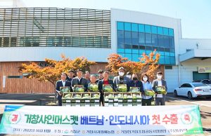 거창 샤인머스캣, 올해 첫 인도네시아 수출