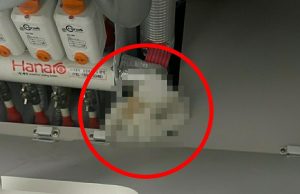 한국, 새 아파트에 고약한 냄새…싱크대 열어보니 인분이