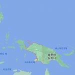 서파푸아 반군, 도로 공사 노동자 4명 사살