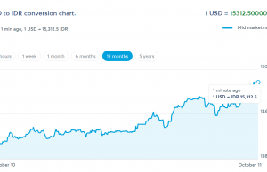 2년 7개월 만에 15,318루피아로 최고치… 외환보유고 줄어