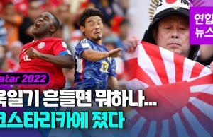 서경덕 “FIFA, 일본 축구팬 욱일기 응원 제지는 아주 적절”
