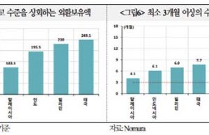 亞 신흥국 외환위기 재발 가능성 낮아… ‘외환보유액 탄탄’