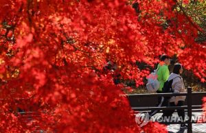 가을빛으로 물든 나뭇잎 그리고 산행