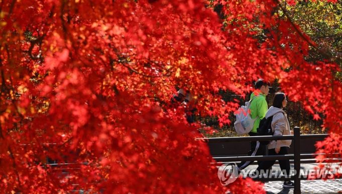 가을빛으로 물든 나뭇잎 그리고 산행