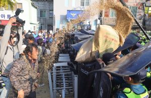 “쌀값 보장하라” 성난 한국의 농민