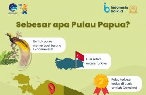 6개 주 파푸아 섬 알아보기