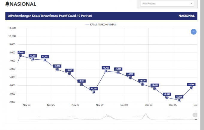 인도네시아 변이 우세종으로 정점 지나… 성탄 연휴 대이동 주의해야
