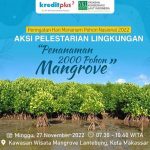 KB국민카드, 인도네시아 맹그로브 숲 조성 활동
