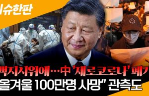 ‘방역 완화’ 중국 감기약 품귀에 국내 악영향 우려