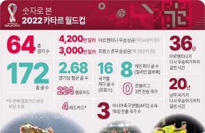 숫자로 본 2022 카타르 월드컵