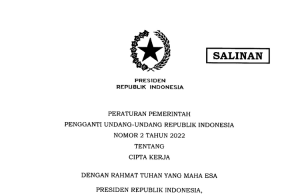 고용창출법 대체 정부령 2022년 2호 전문