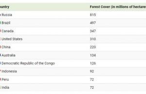 ‘산소공장’ 숲 가장 넓은 10대국은 어디?