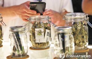 ‘대마 합법국’ 태국, 대마법 처리 불발