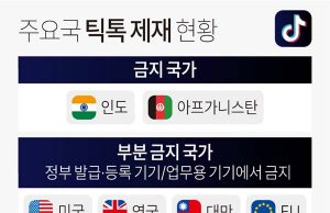 주요국 틱톡 제재 현황