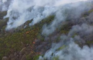 건조특보에 강풍까지…한국 곳곳서 산불 35건 발생