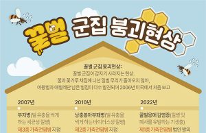 꿀벌 군집 붕괴 현상