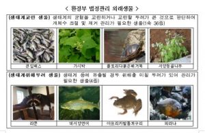 외래생물 불법 반입 증가…서울 수도권 업체 23건 적발