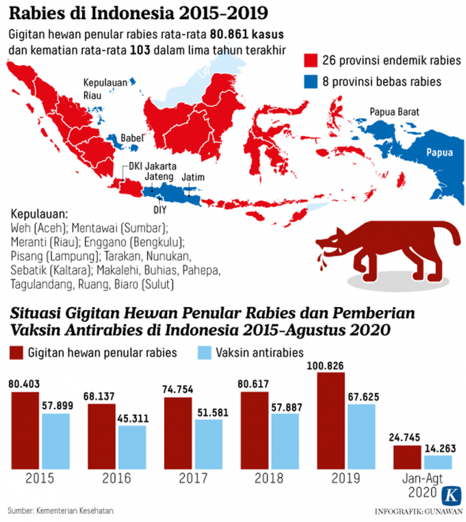 서부 칼리만탄과 NTT 지역, 광견병 피해자 급증… 발리도 주의해야