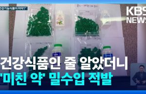 한국서 역병처럼 번지는 ‘미친 약’ 야바…전국으로 유통