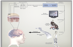 뇌과학, 전세계적인 이슈로 부상하며 혁신적인 발전 선보여
