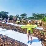 숲 조성 글로벌 캠페인 행사