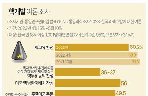 핵개발 여론 조사