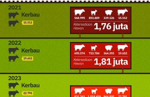 희생제앞두고 제물용 동물 건강·물류 감시 강화