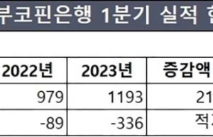 KB 부코핀은행 재정비 효과볼까