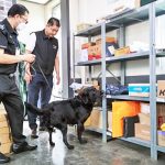 마약반입 꼼짝마