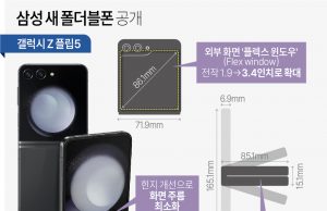 그래픽 한국사회 뉴스 보기(8월 첫째 주)