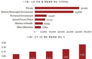 인도네시아 의료기관의 현황과 문제점, 해결 방안