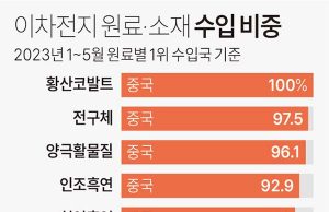 이차전지 원료·소재 수입 비중