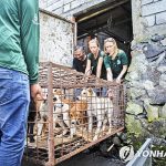 인도네시아 개·고양이 고기 시장 거래 금지