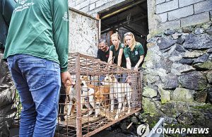 자카르타, 개·고양이 고기 식용 전면 금지… “한 달 내 주지사령 공포”