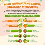 인도네시아에서 생산되는 대부분의 과일