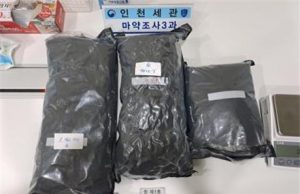 1만명분 대마 진공포장 인천공항서 들통…상반기 329㎏ 적발 역대 최대