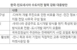 40조원 ‘기회의 땅’ 인니 수도 이전 협력 사업 제각각.. “컨트롤타워 마련해야”