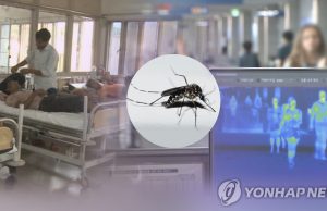 한국 뎅기열 환자 5.5배↑ 인니여행 최다…공항서 무료검사