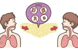 결핵의 전파와 감염은 어떻게 이루어 질까요?