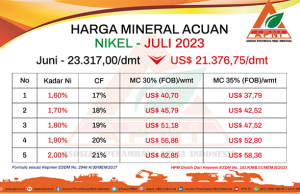 니켈고갈 이슈, 에너지자원부 “매장량 15년” 투자부 “잘못된 것”